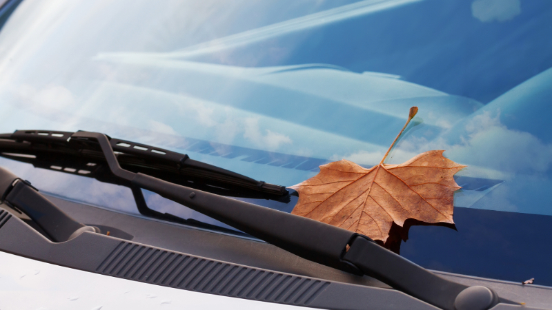 How Much Do New Wiper Blades Cost