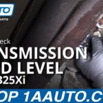 How to Check Bmw Transmission Fluid Level