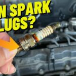 Why is There Oil on My Spark Plugs