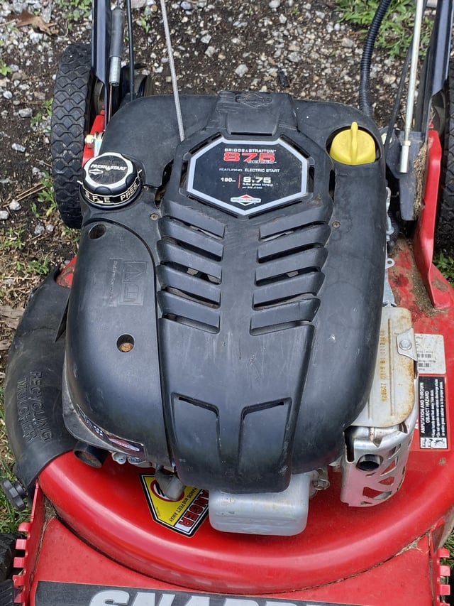 Can Spark Plugs Go Bad from Sitting