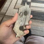 Can a Brake Pad Fall off