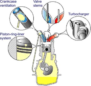 Does Motor Oil Evaporate