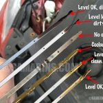 How Do You Know If Your Car Oil is Low