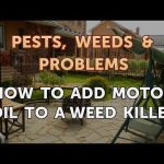 Will Motor Oil Kill Weeds