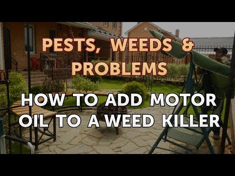 Will Motor Oil Kill Weeds